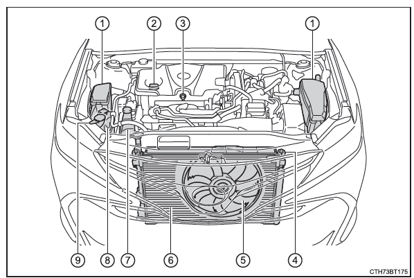 Compartimento del motor